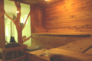 View of indoor custom wood sauna
